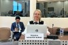 Zamjenica predsjedatelja Izaslanstva PSBiH u PSVE Snježana Novaković – Bursać sudjelovala na sjednici Komiteta za politička pitanja i demokraciju PSVE